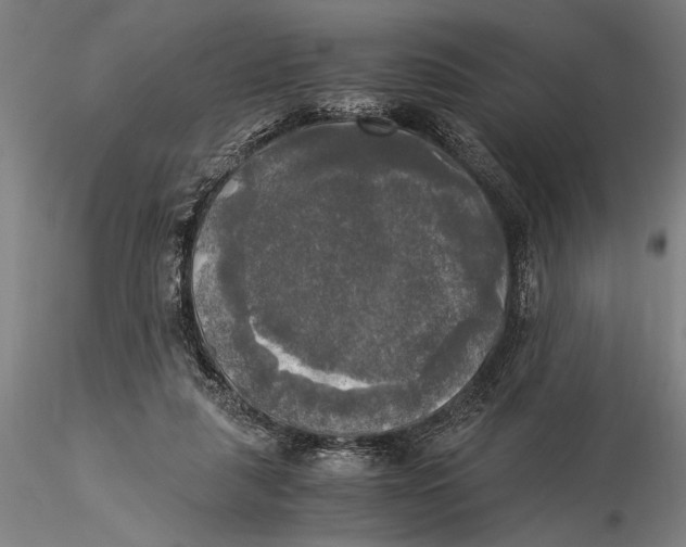 X0000116050259200912111511