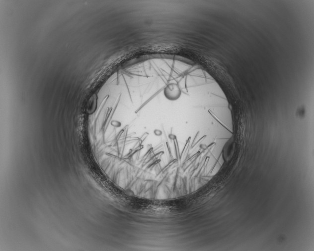 X0000116050260200912111511