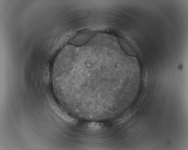 X0000116050261200912111511