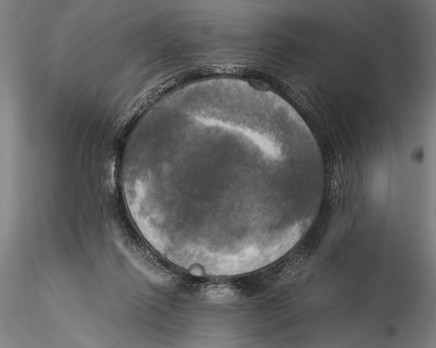 X0000116050262200912111511