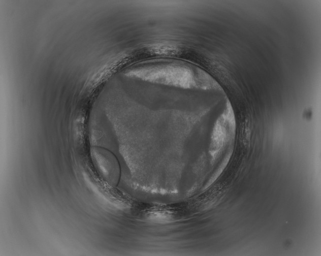 X0000116050263200912111511