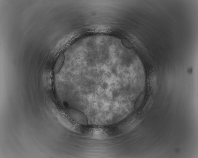 X0000116050264200912111511