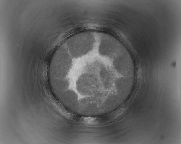 X0000116050265200912111511