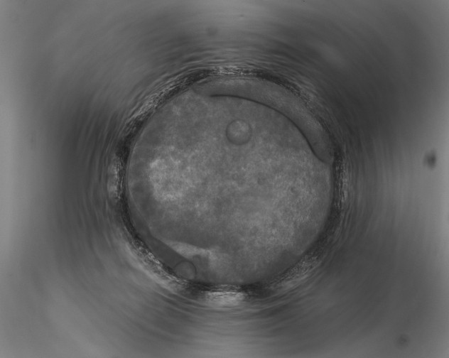 X0000116050266200912111511