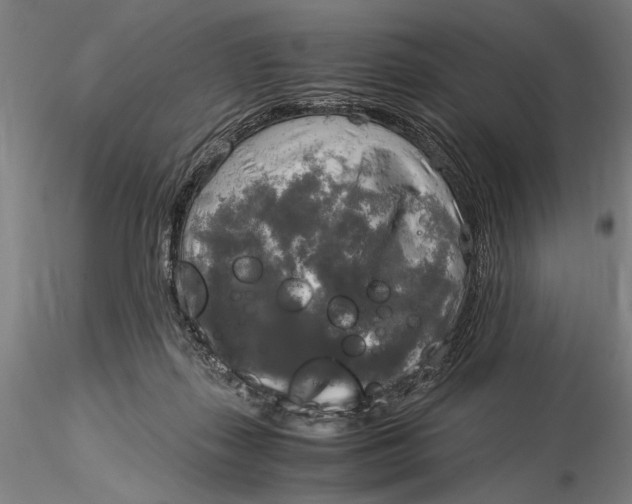 X0000116050267200912111511