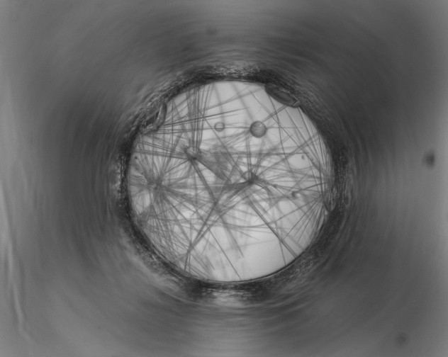 X0000116050268200912111511