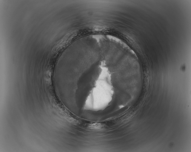 X0000116050269200912111511