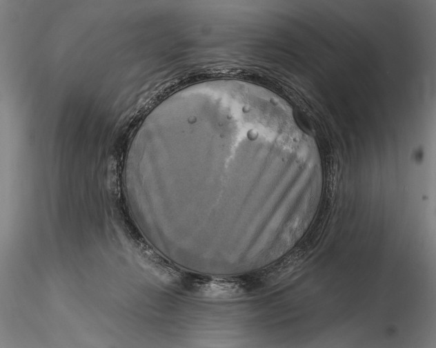 X0000116050270200912111511