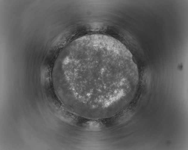 X0000116050272200912111511