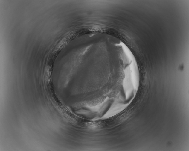 X0000116050273200912111511