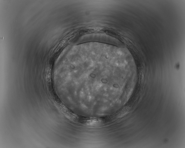 X0000116050274200912111511