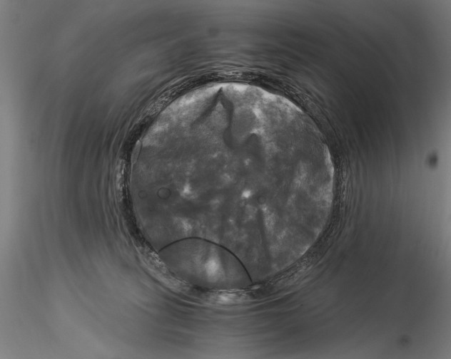 X0000116050275200912111511