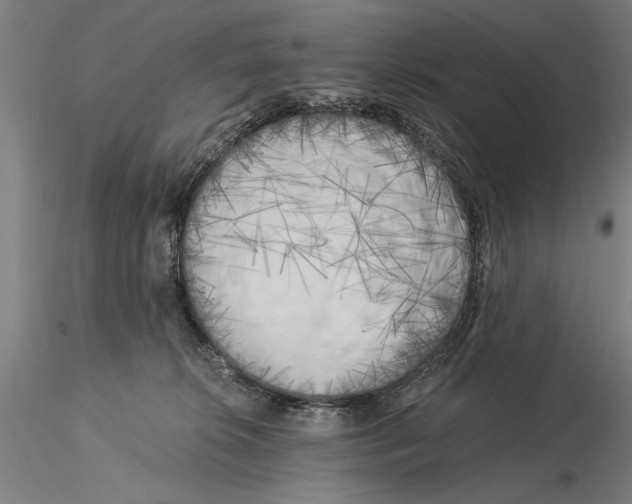 X0000116050276200912111511