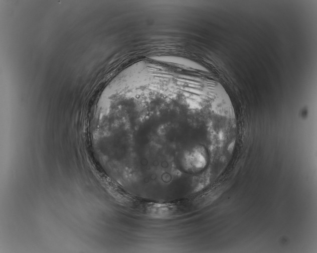 X0000116050277200912111511