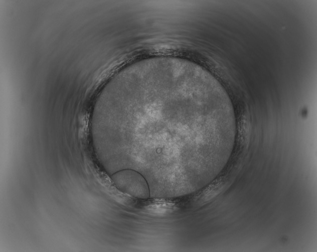 X0000116050278200912111511