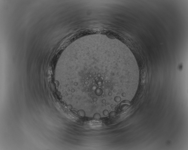 X0000116050279200912111511