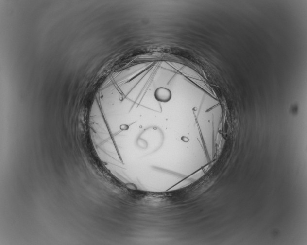 X0000116050280200912111511