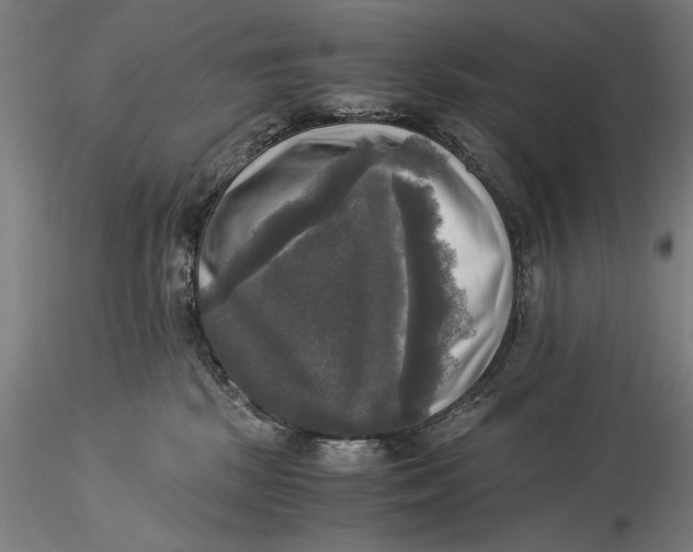 X0000116050281200912111512