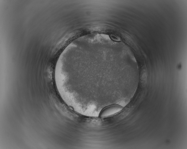 X0000116050282200912111512