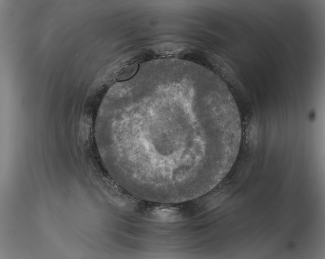 X0000116050283200912111512