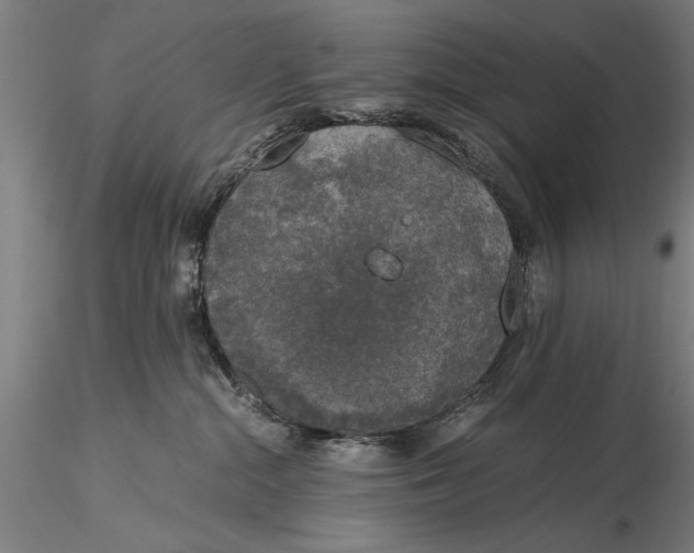 X0000116050284200912111512