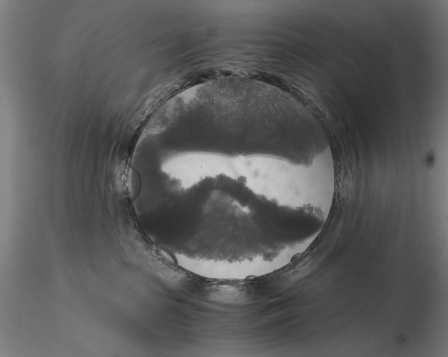 X0000116050285200912111512