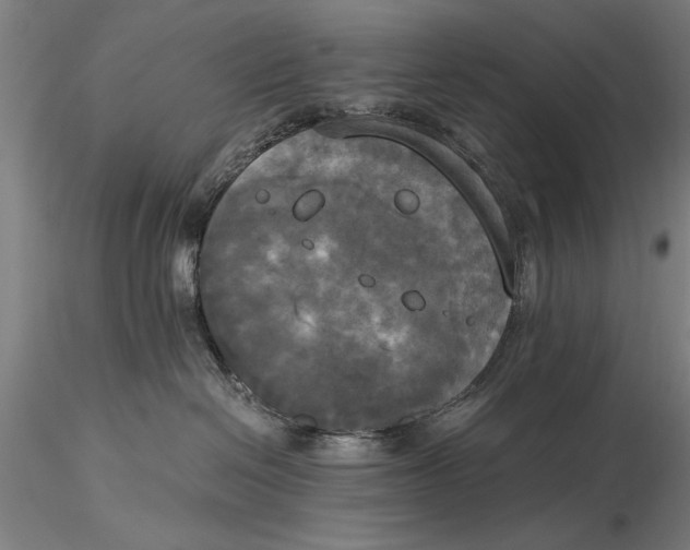 X0000116050286200912111512