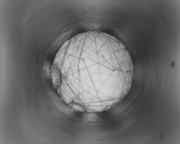 X0000116050287200912111512