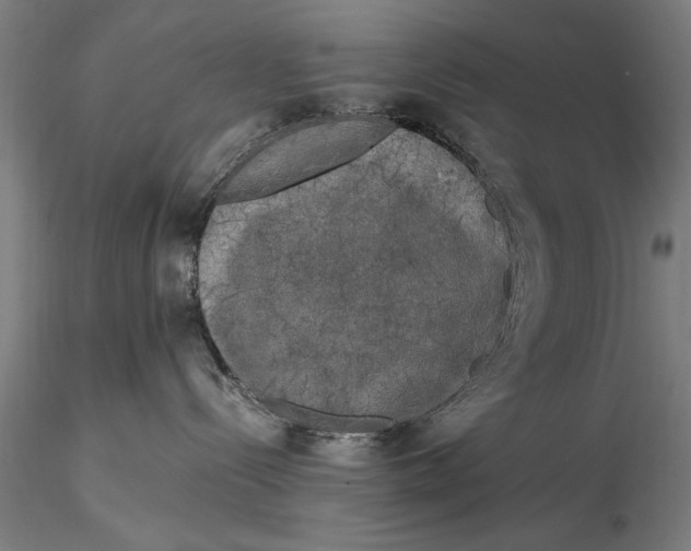 X0000116050288200912111512