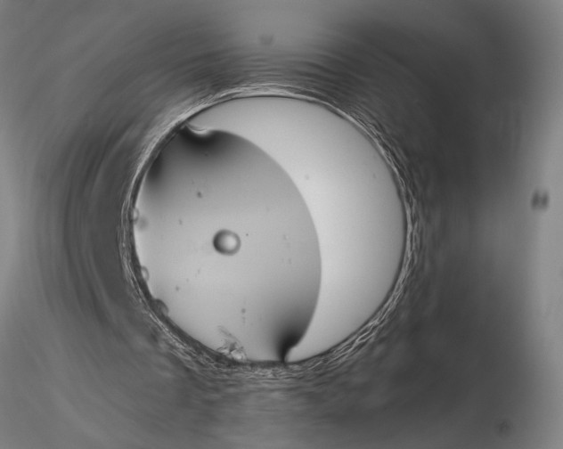 X0000116050289200912111511