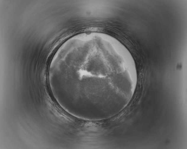 X0000116050290200912111511