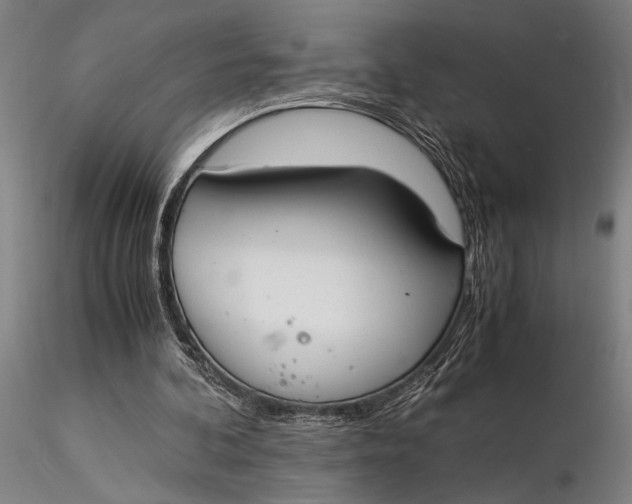 X0000116050292200912111511