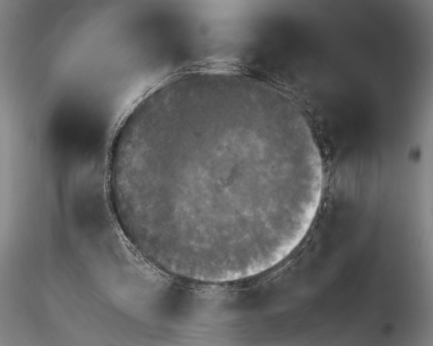 X0000116050293200912111511