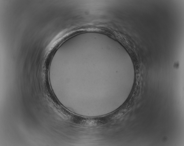 X0000116050295200912111511