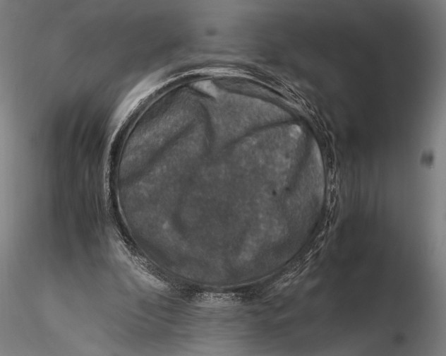 X0000116050296200912111511