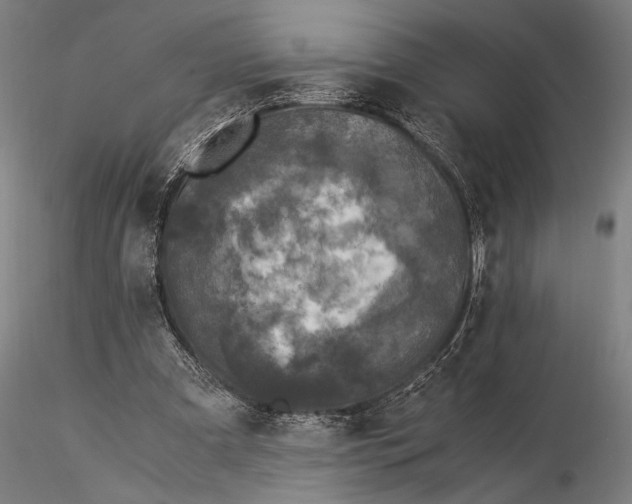 X0000116050297200912111511