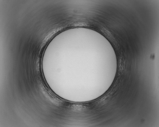 X0000116050298200912111511