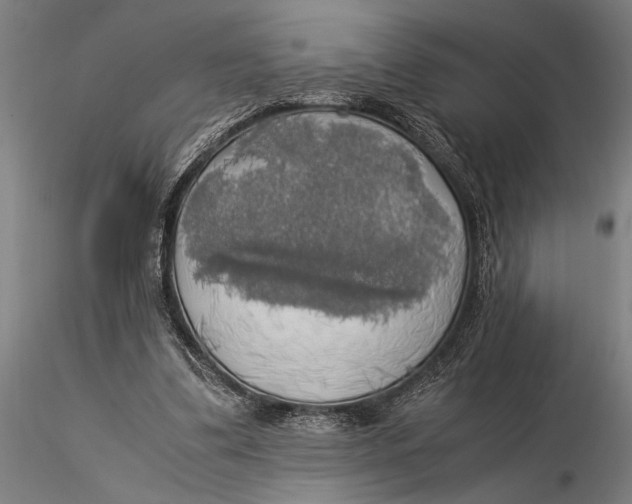 X0000116050299200912111511