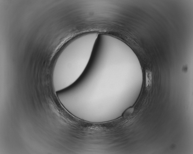 X0000116050300200912111511