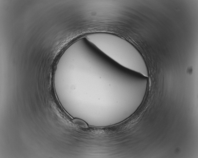 X0000116050301200912111511