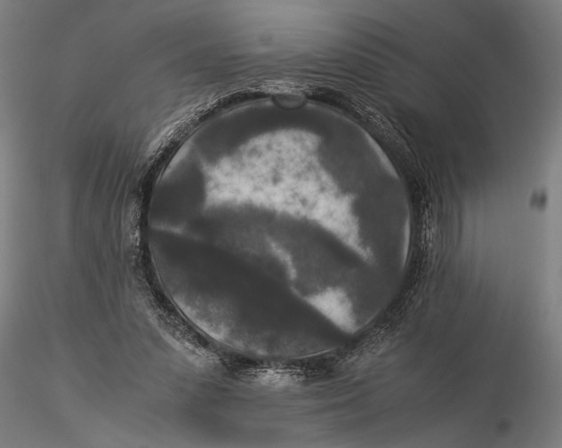 X0000116050303200912111511