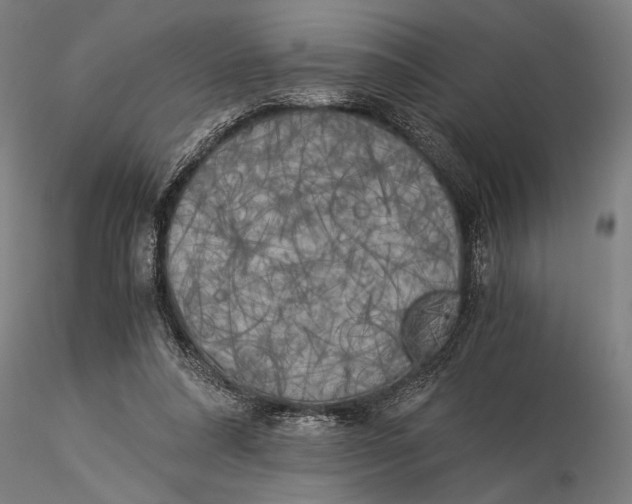 X0000116050304200912111511