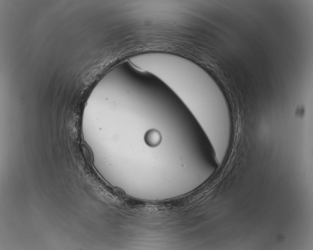 X0000116050305200912111511