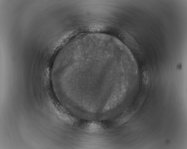 X0000116050308200912111511