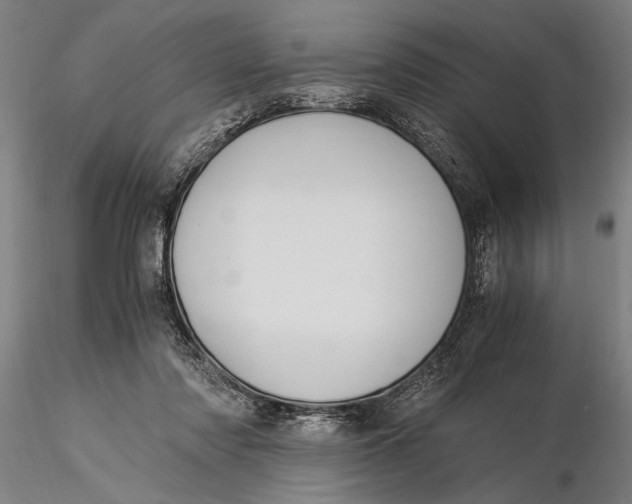 X0000116050310200912111511