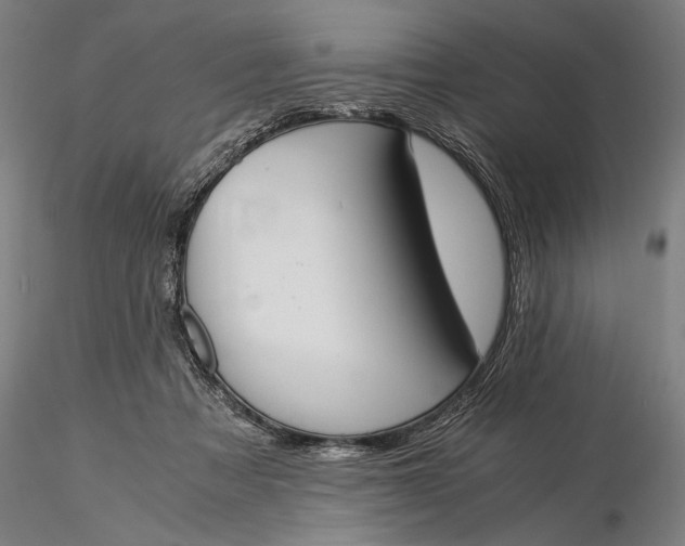 X0000116050313200912111510
