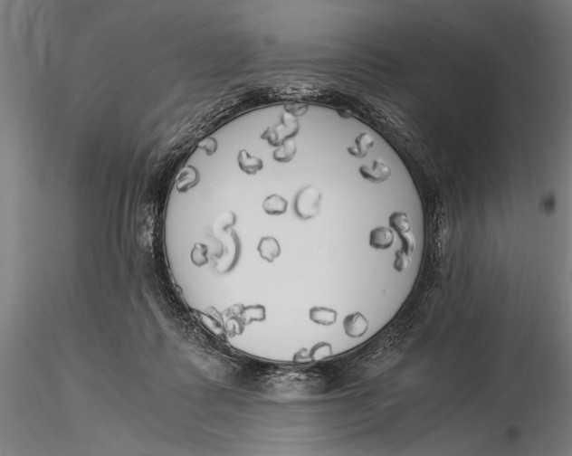 X0000116050315200912111510