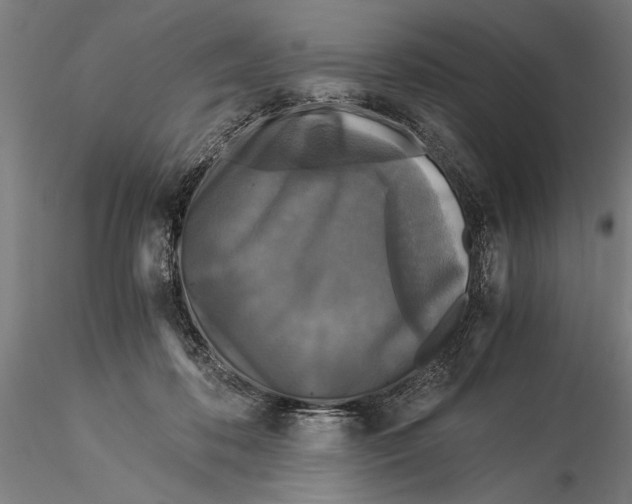 X0000116050316200912111510