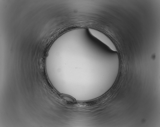 X0000116050317200912111510