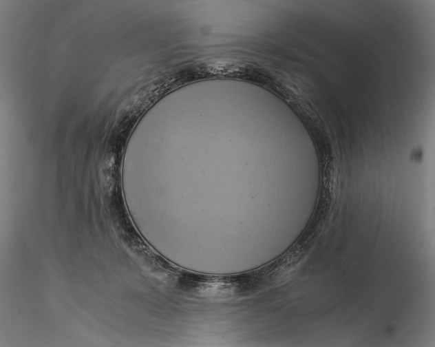 X0000116050319200912111510